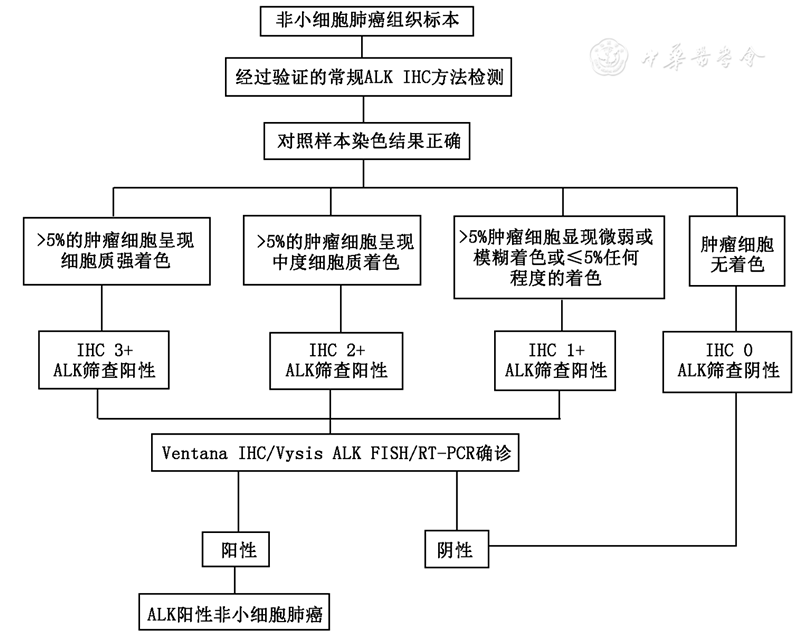 原发性肺癌最新诊治进展