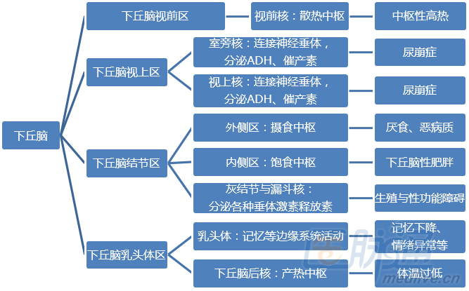 图9  下丘脑重要核团的部分主要功能下一步?