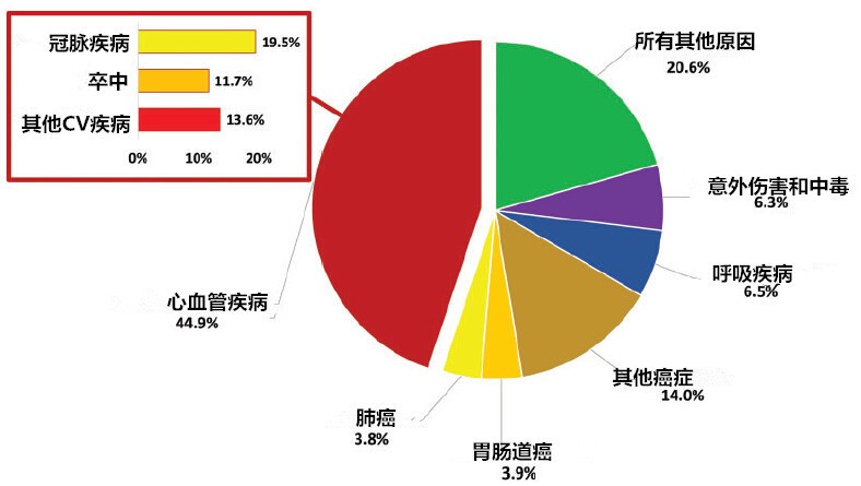 欧洲最新因重大疾病导致所有死亡的比例图