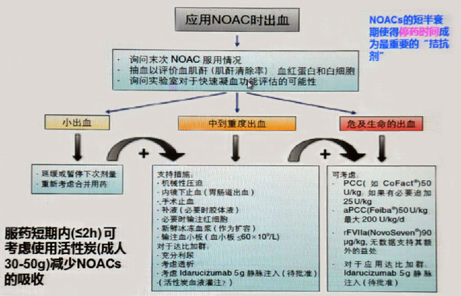 [chrs2017]梁岩:noacs房颤抗凝的出血风险管理