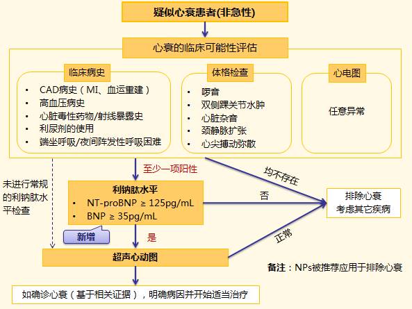 [chc2017]黄晓红:老年心力衰竭的特点与诊治进展