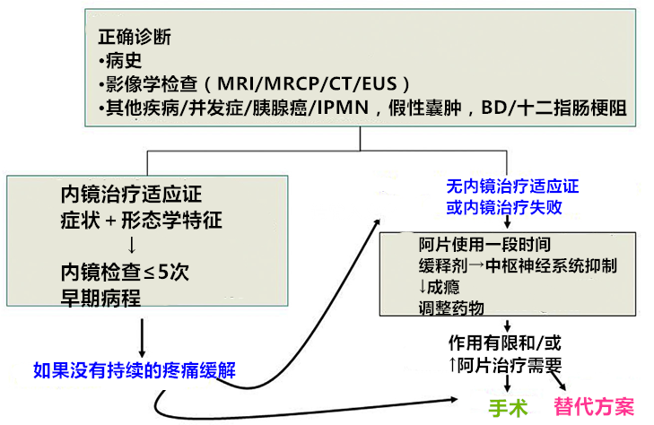 2017慢性胰腺炎疼痛认识及管理指南