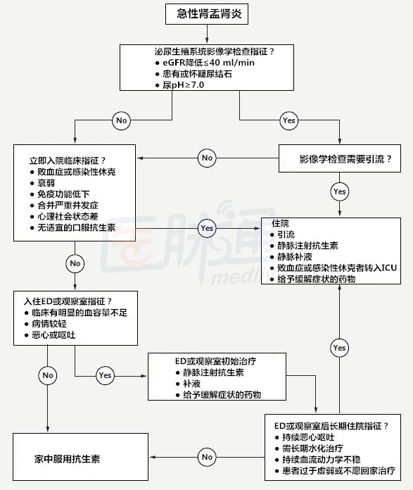 nejm急性肾盂肾炎治疗流程图