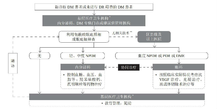 糖尿病视网膜病变(dr)筛查与防治双向转诊流程图