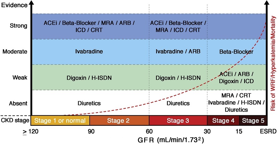 叶平教授心衰合并ckd如何使用raas抑制剂