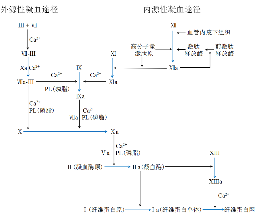 你能从"凝血四项"里看到多少信息?知识汇总,干货满满!