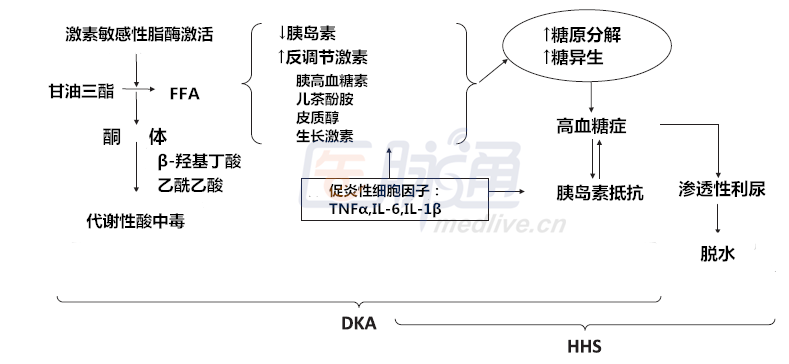 ffa:游离脂肪酸;tnf:肿瘤坏死因子