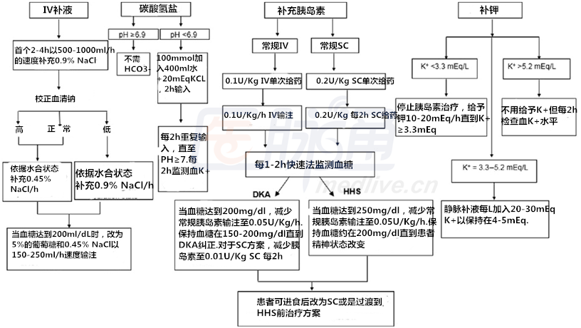 综述:高血糖危象的正确管理