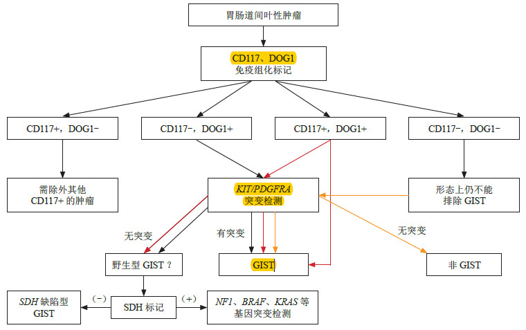 我不是药神:伊马替尼拯救胃肠道间质瘤(gist)的故事