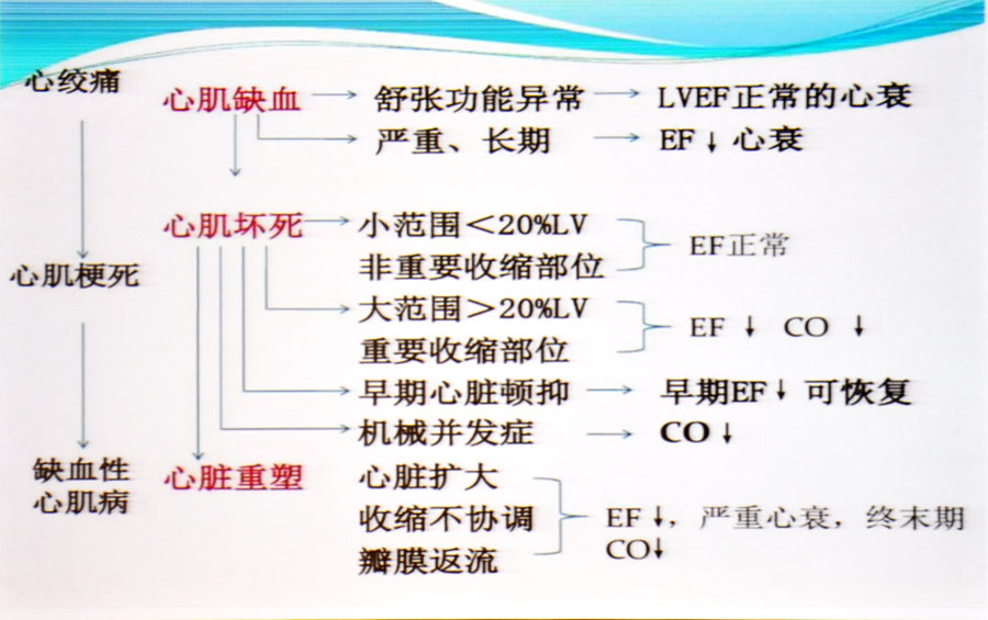 缺血性心脏病的定义为符合以下条件之一的心衰①既往有心肌梗死或