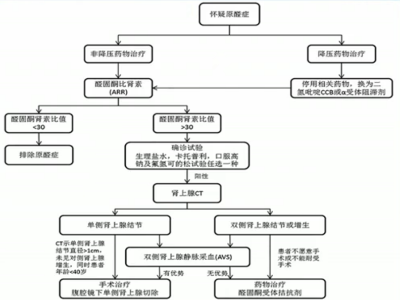 原发性醛固酮增多症的临床治疗进展