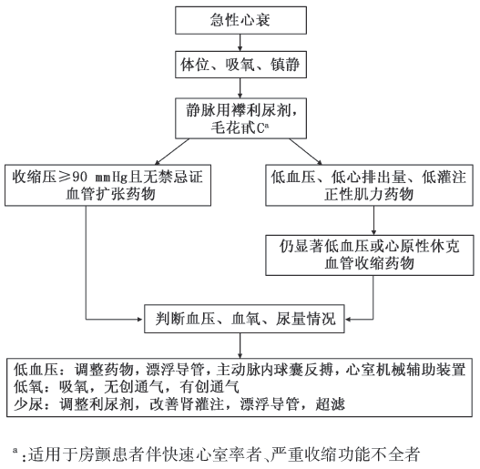 张宇辉教授:中国心力衰竭的实践与进展 中国的心衰治疗 急性心衰治疗