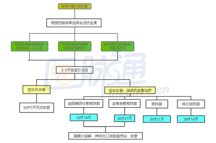 革兰阳性球菌治疗流程图