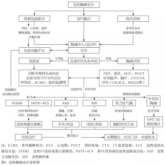 《急性胸痛急诊诊疗专家共识》强调"战线前移"